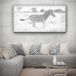 obyvaci pokoj_zebra_07